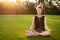 Woman with dreadlocks doing yoga exercises outdoors