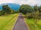 Woman in dress walking on road in tropical garden