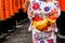 Woman dressed in traditional kimono japanese costume walking under tori gates