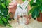 Woman dripping chlorophyll supplement into a glass of water. Selective focus.