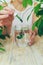 Woman dripping chlorophyll supplement into a glass of water. Selective focus.