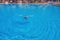 Woman drowns in pool water, tilt shift blurred effect