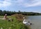 Woman with ducks and swans family on a lake summer landscape in the Minsk Belarus