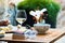 A woman eating alone with a glass of wine and a book and sunglasses on a wooden table, outdoors