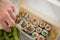 Woman eating edamame, salmon, surimi, cucumber and avocado Maki and inside out California sushi with soy sauce, pickled ginger,