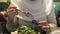 A woman eats freshly cooked mussels in sauce with herbs in a restaurant.