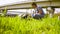 Woman ecologist getting samples of plants near highway.