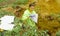 Woman ecologist taking samples of a soil