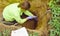 Woman ecologist taking samples of a soil