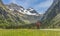 Woman on electrick Mountain bike in the Oy Tal Valley, Allgaeu Alps Below Nebelhorn