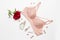 Woman elegant pink lace bra. Stylish lingerie flat lay