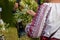 Woman in embroidery weaves a wreath of flowers on the traditional feast of Ivan Kupala