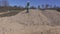 Woman engineer on gravel pile