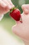 Woman enjoy strawberry close-up. Kisses and tastes strawberry. Seasonal berry