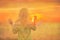 Woman enjoy with sunshine in wheat field