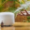 Woman Enjoying Aroma Therapy Steam Scent from Home Essential Oil Diffuser or Air Humidifier