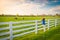 Woman enjoying countryside view with green pastures and hors