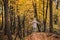 Woman enjoying fresh air and feeling positive energy in autumn forest