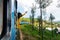 Woman enjoying train ride through Sri Lanka tea plantations