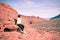 Woman enjoying view of red rock formations in Valley of Fire St