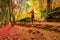 Woman enjoying a walk in an Autumn garden