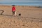 Woman enjoying walk on beach with dogs on bright Autumn day