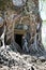 woman at an entrance to the destroyed covered with roots of trees temple Prasat Chrap in the Koh Ker temple complex, Siem Reap, C