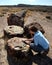A Woman Examines a Giant Petrified Log
