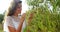 Woman examining olives in farm 4k