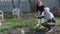 Woman explains girl how to cut roses in garden. They cut roses with prune.