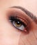 Woman eye with a brown fashion make-up
