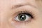 Woman eye close up