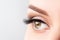 Woman eye with long eyelashes, beautiful makeup and light brown eyebrow close-up. Eyelash extensions, lamination, microblading,