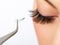 Woman eye with long eyelashes. Eyelash extension