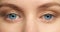 Woman face, blue color eyes and focus, vision and contact lenses to see, eye care and awareness. Zoom macro portrait