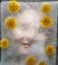 Woman face silhouette through  ice with dandelions flowers