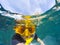 Woman face wearing snorkeling mask diving under clear sea water