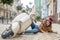 Woman falling from the scooter while having a first ride