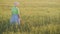 A woman farmer admires the endless field of green wheat. Organic farming concept