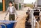 Woman farmer carrying feed for cows on garden cart