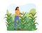 Woman Farmer in Gloves Harvesting Corn on Field. Gardener Female Character Working, Collecting Ripe Vegetables Crop