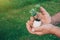 Woman farmer hands holding eggshell with germinated sprout - planting seedling vegetables or plants in used egg shell