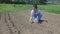 Woman farmer is planting young onion seedlings