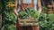 Woman farmer presenting freshly harvested organic vegetables in a box on the farm