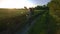 Woman farmer runs along the road along the field. Feels a sense of freedom from the city and business. Engaged in