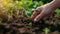 A woman farmer\\\'s hand carefully assesses soil health for organic farming, Ai Generated