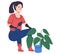 Woman farmer sits plants plant in pot. Agricultural worker transplants flowers, ornamental plants