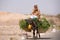 Woman farmer sitting and traveling on her donkey, Morocco