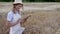 Woman farmer straw hat smart farming sitting farmland smiling using digital tablet Female agronomist specialist research