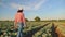 Woman farmer walking through a cabbage field